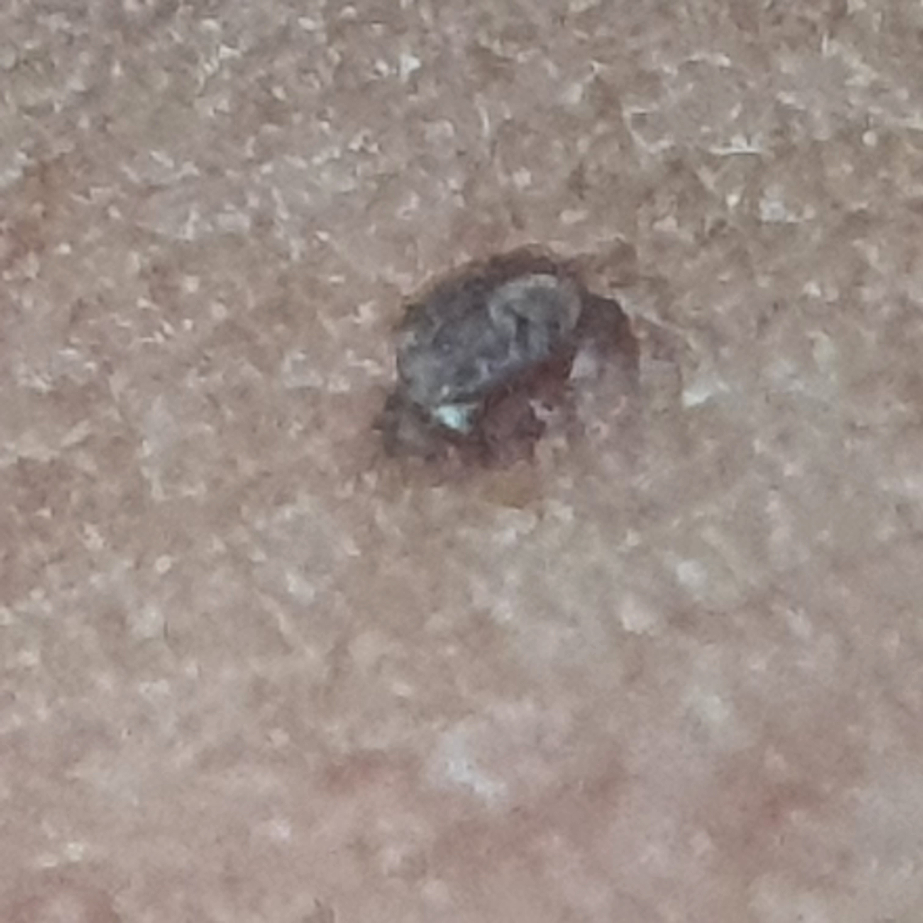 6번 째 사진