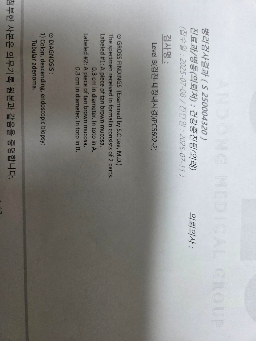 2번 째 사진