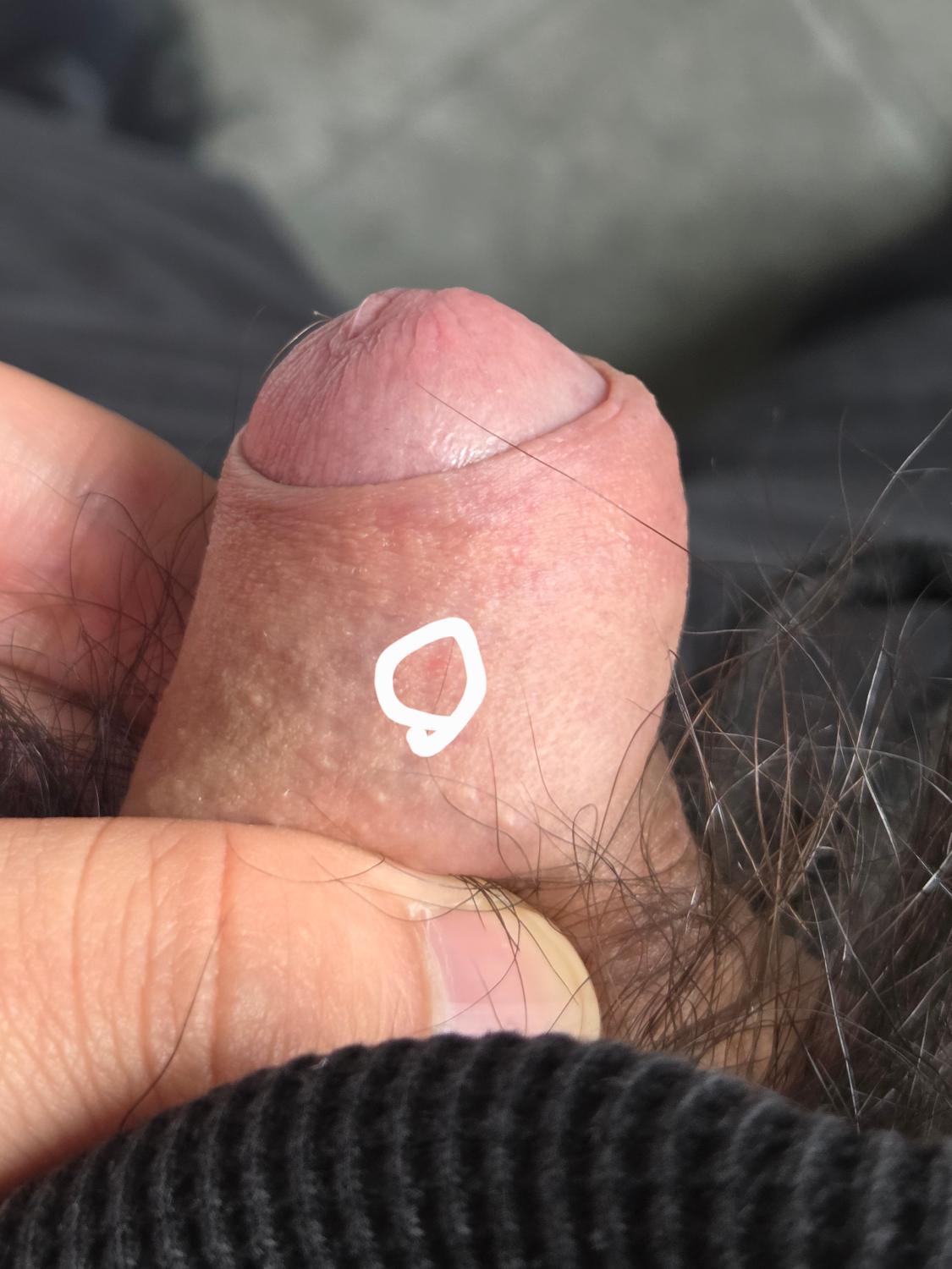 7번 째 사진