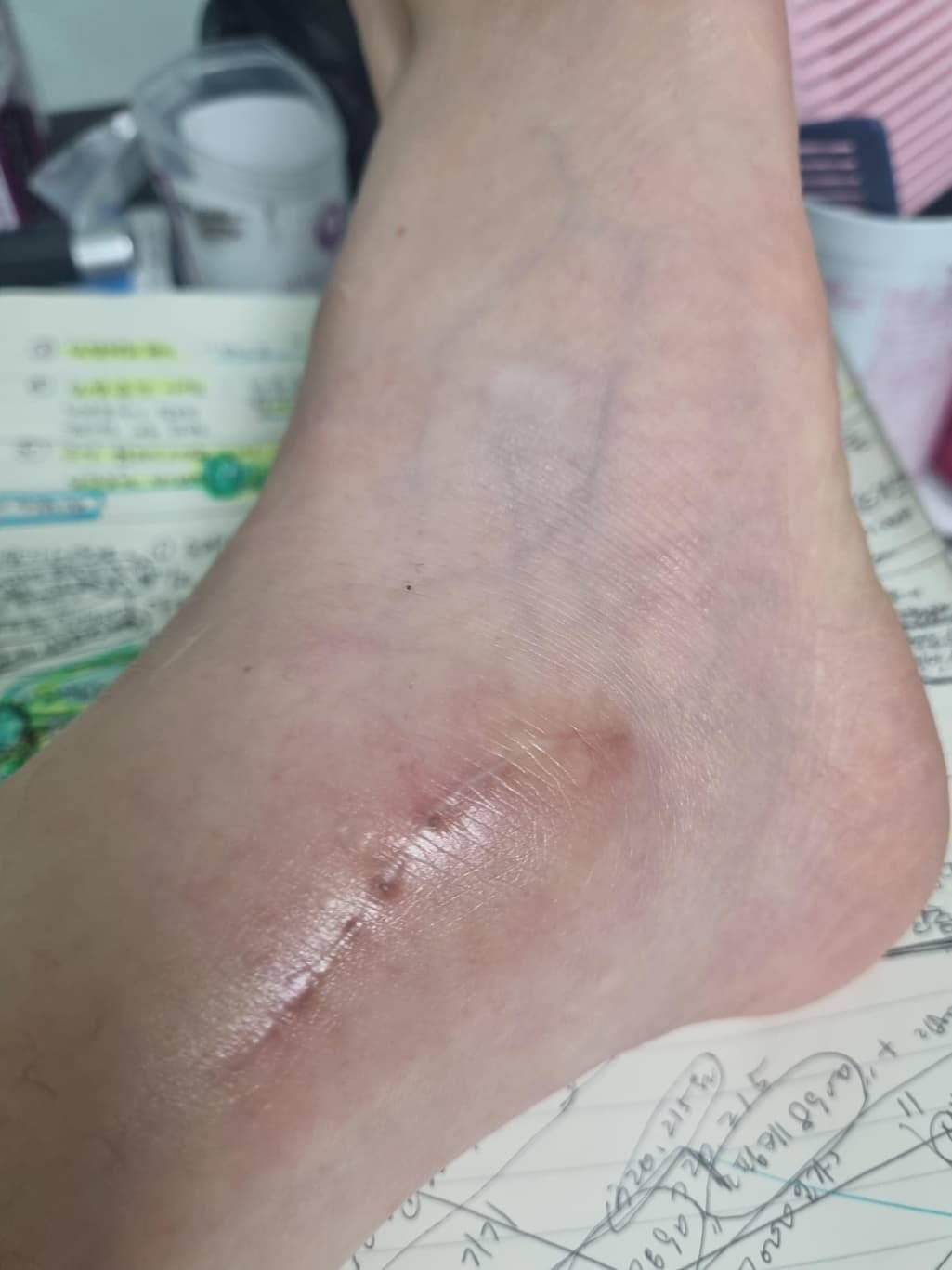 7번 째 사진
