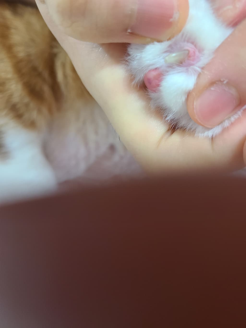 4번 째 사진