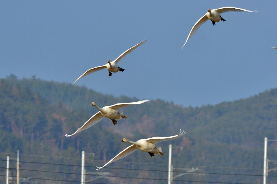 3번 째 사진