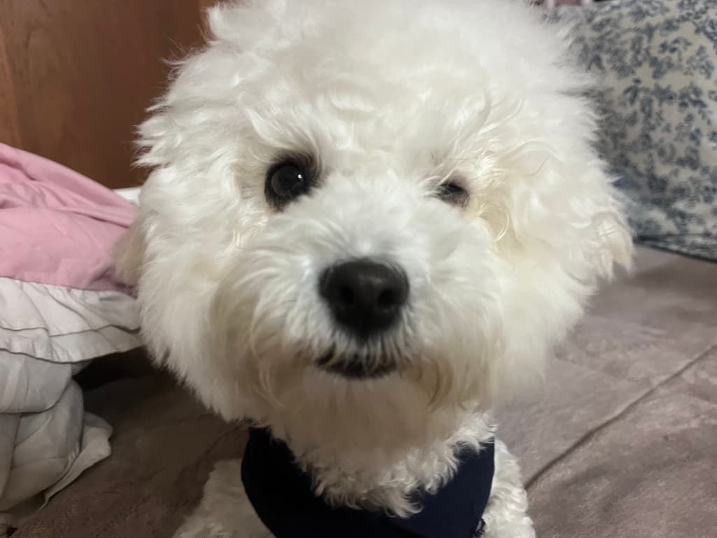 2번 째 사진