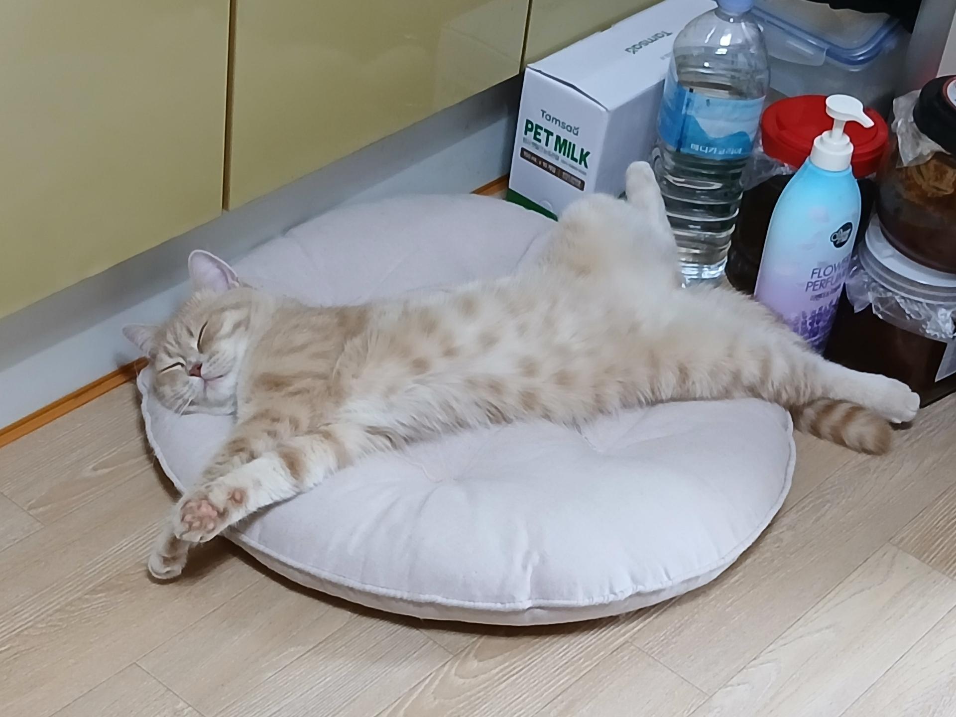 1번 째 사진