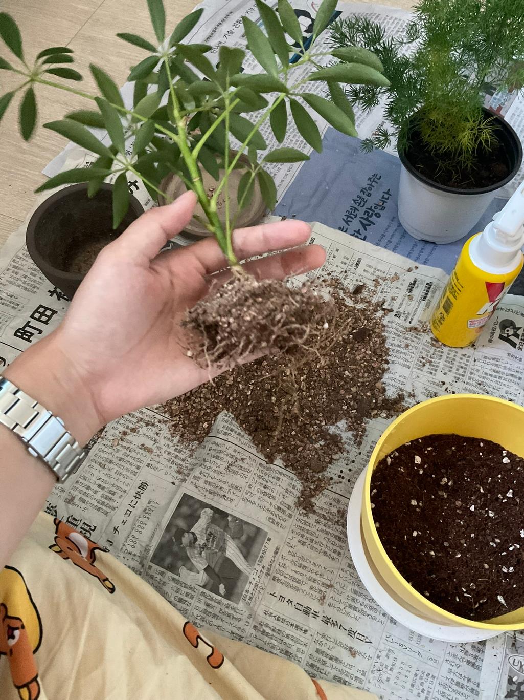 1번 째 사진