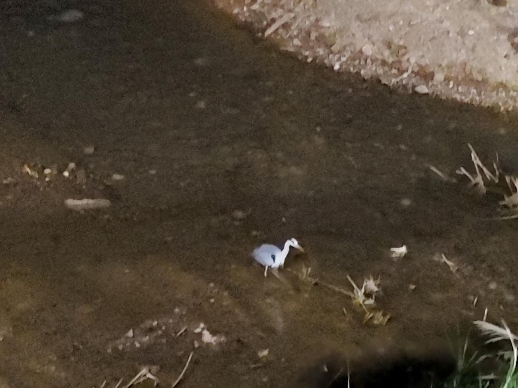2번 째 사진