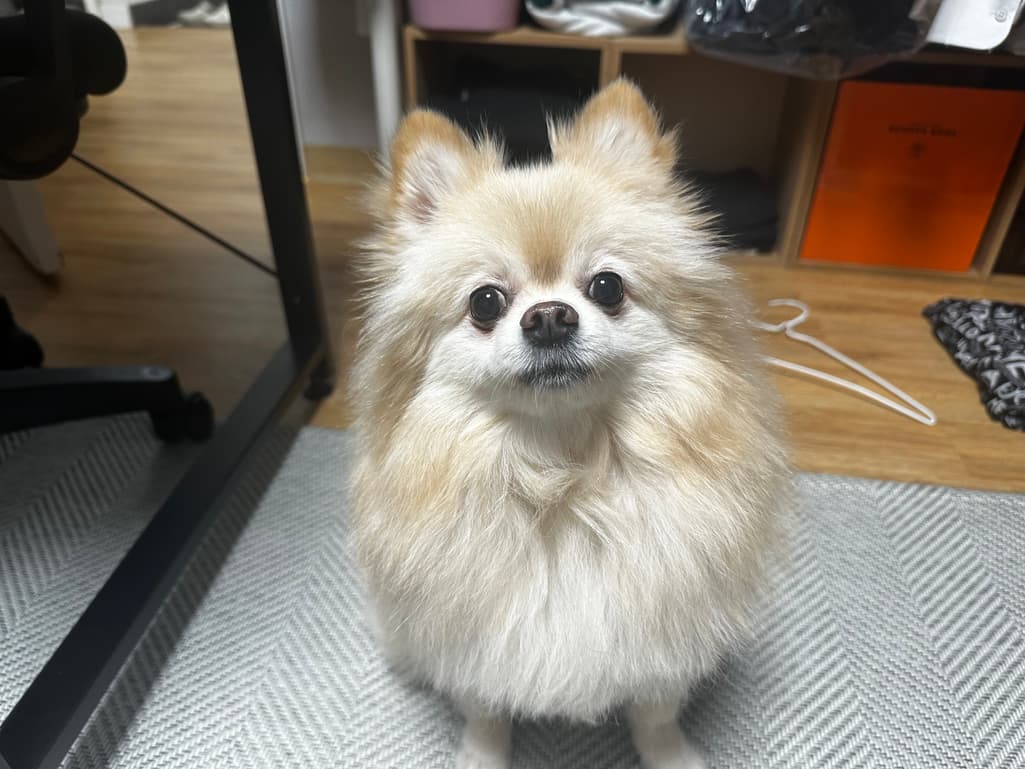 1번 째 사진