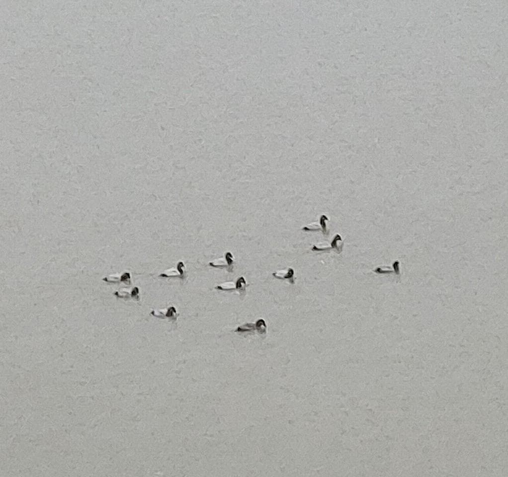 4번 째 사진