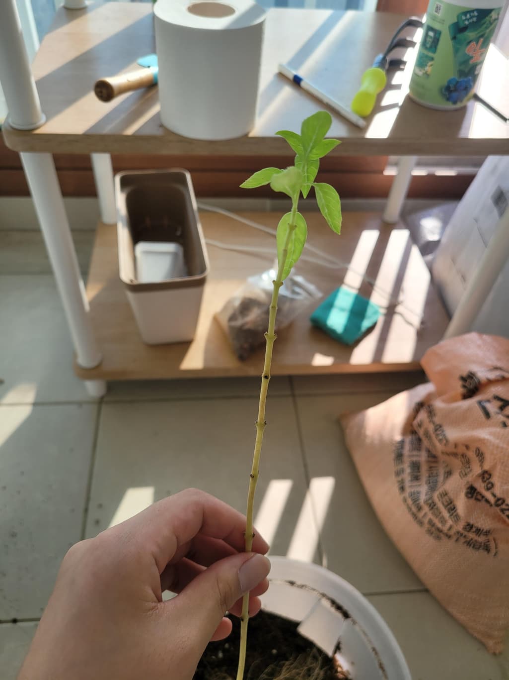2번 째 사진