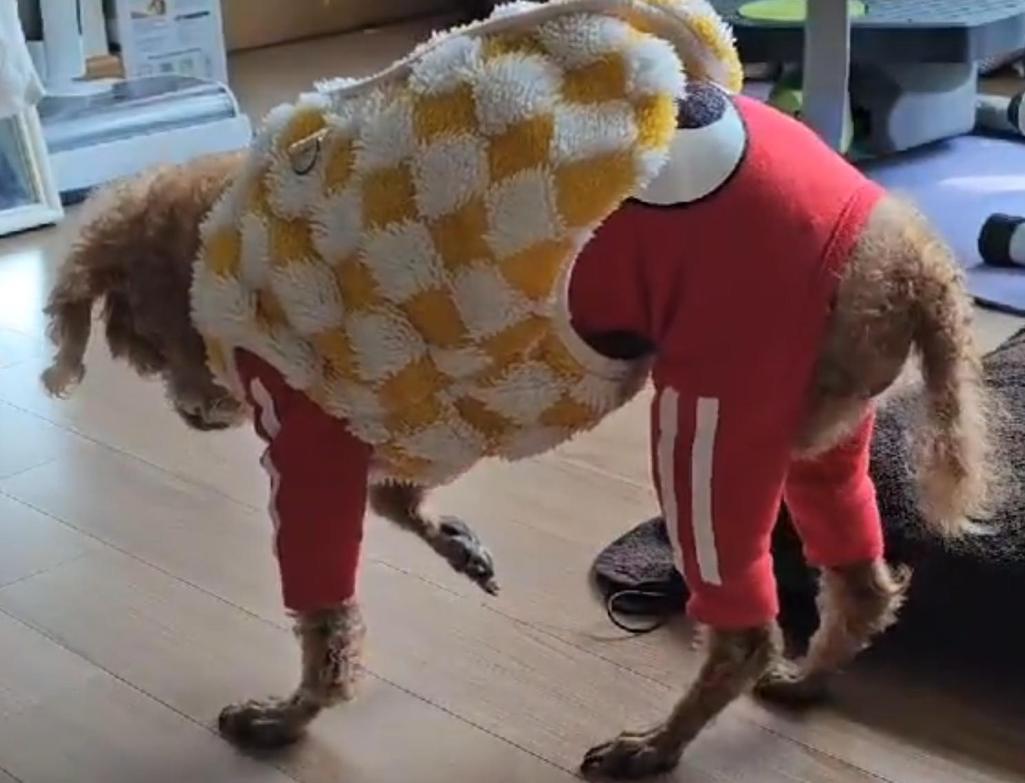 1번 째 사진