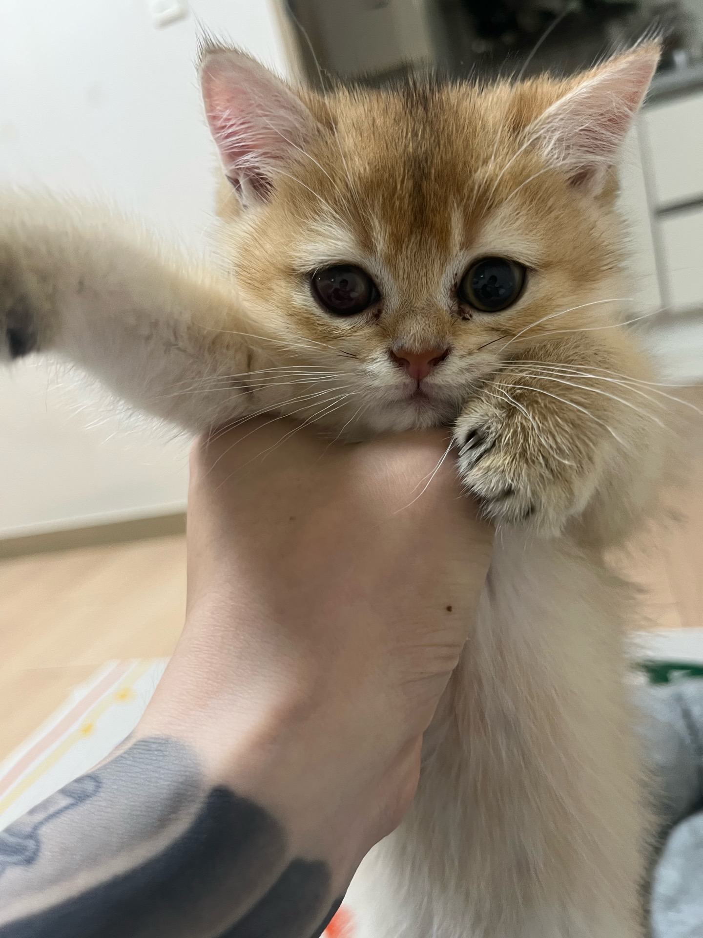 2번 째 사진