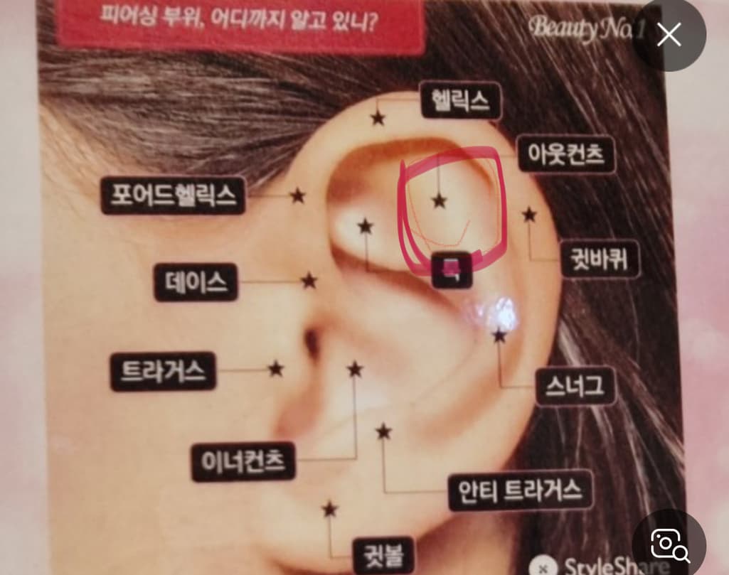2번 째 사진