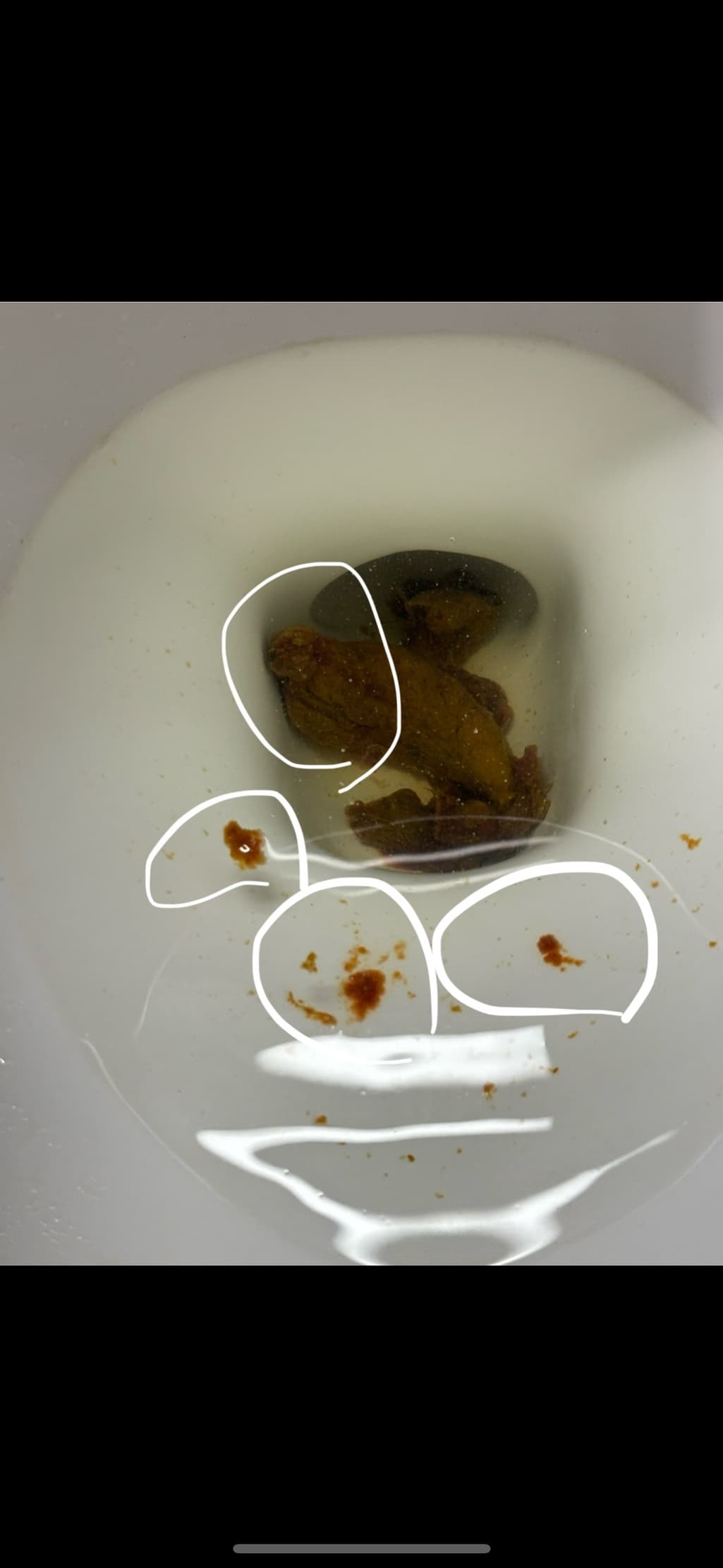 3번 째 사진