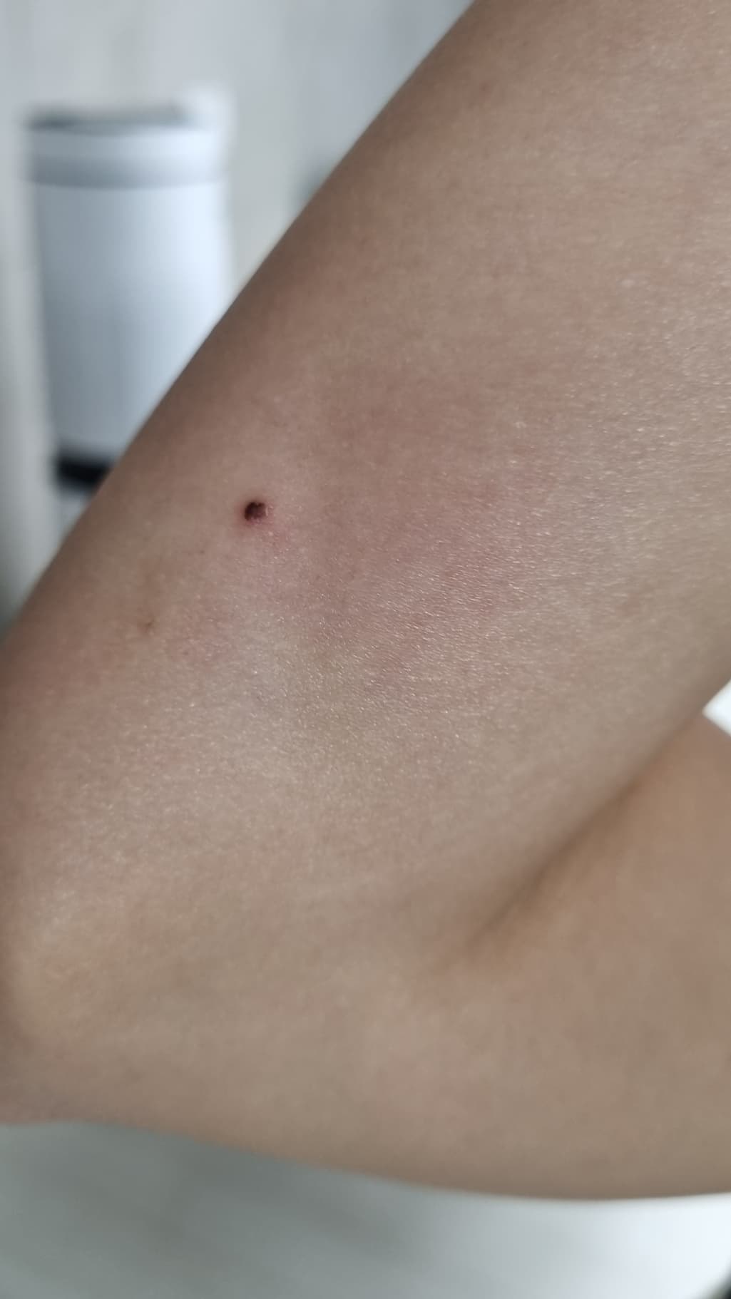 4번 째 사진