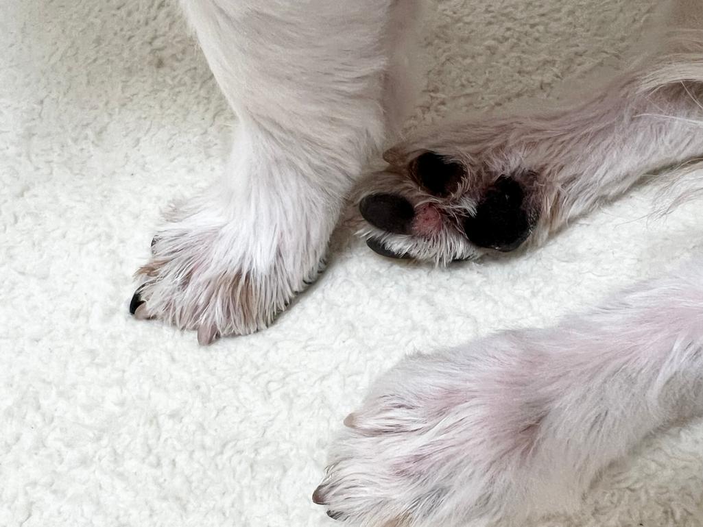3번 째 사진