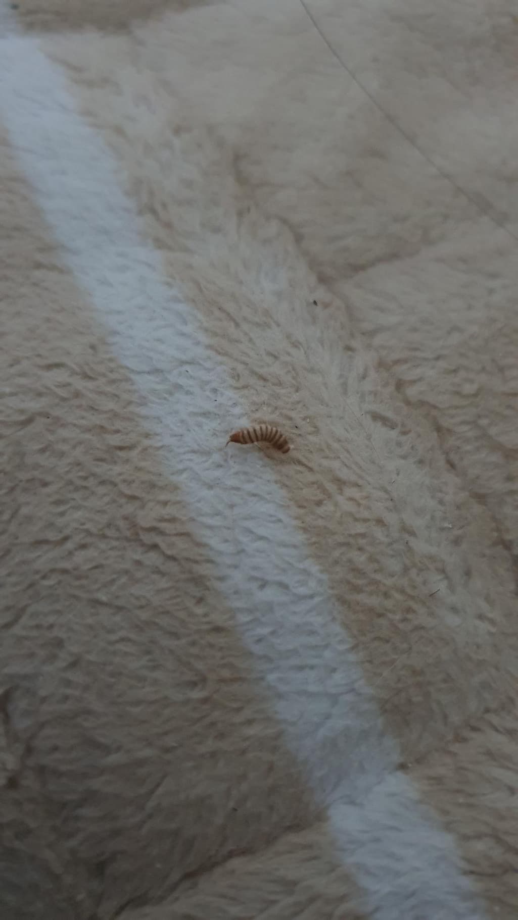 2번 째 사진