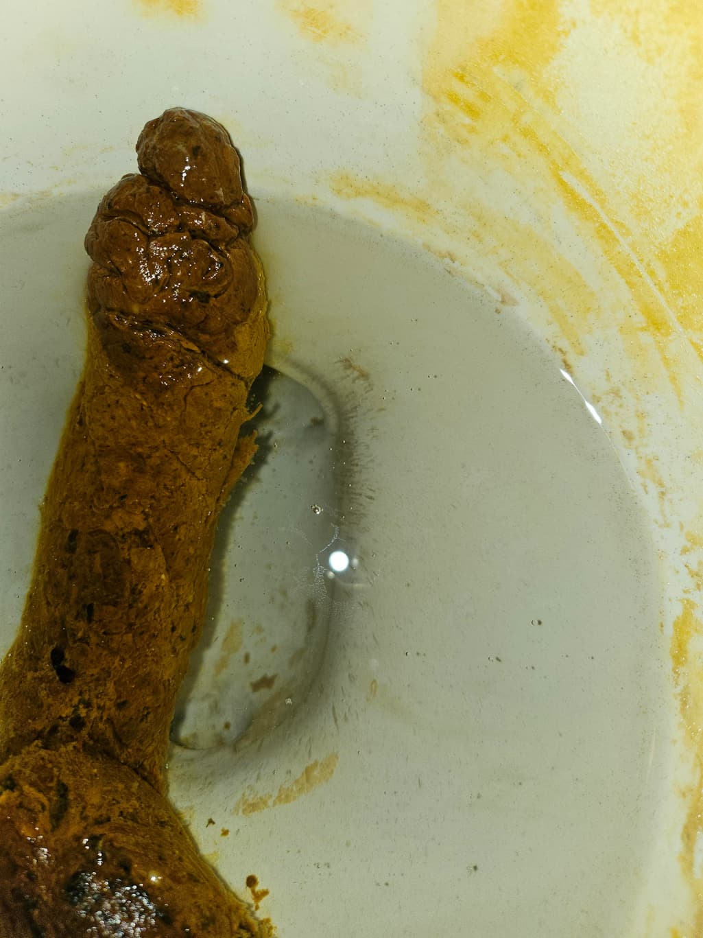 2번 째 사진