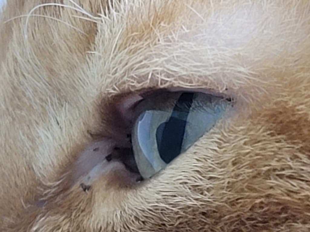 3번 째 사진