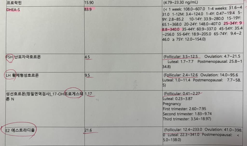 2번 째 사진