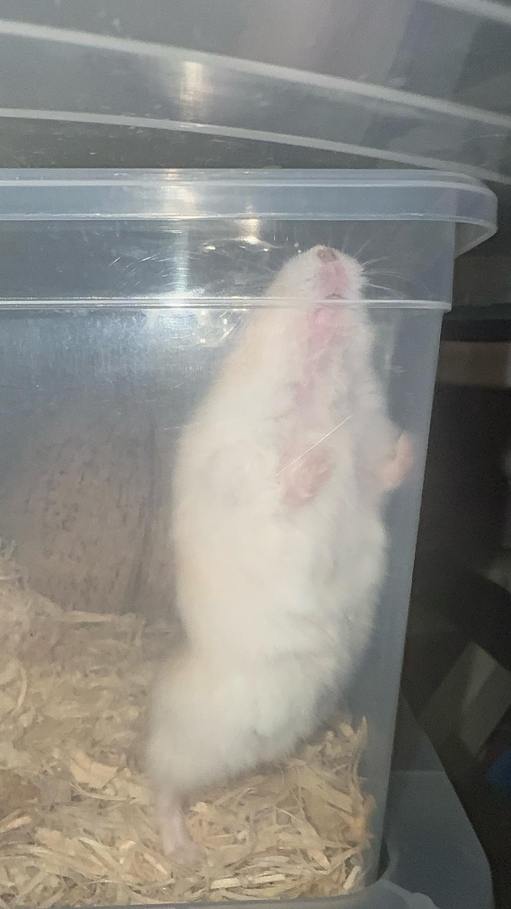 5번 째 사진