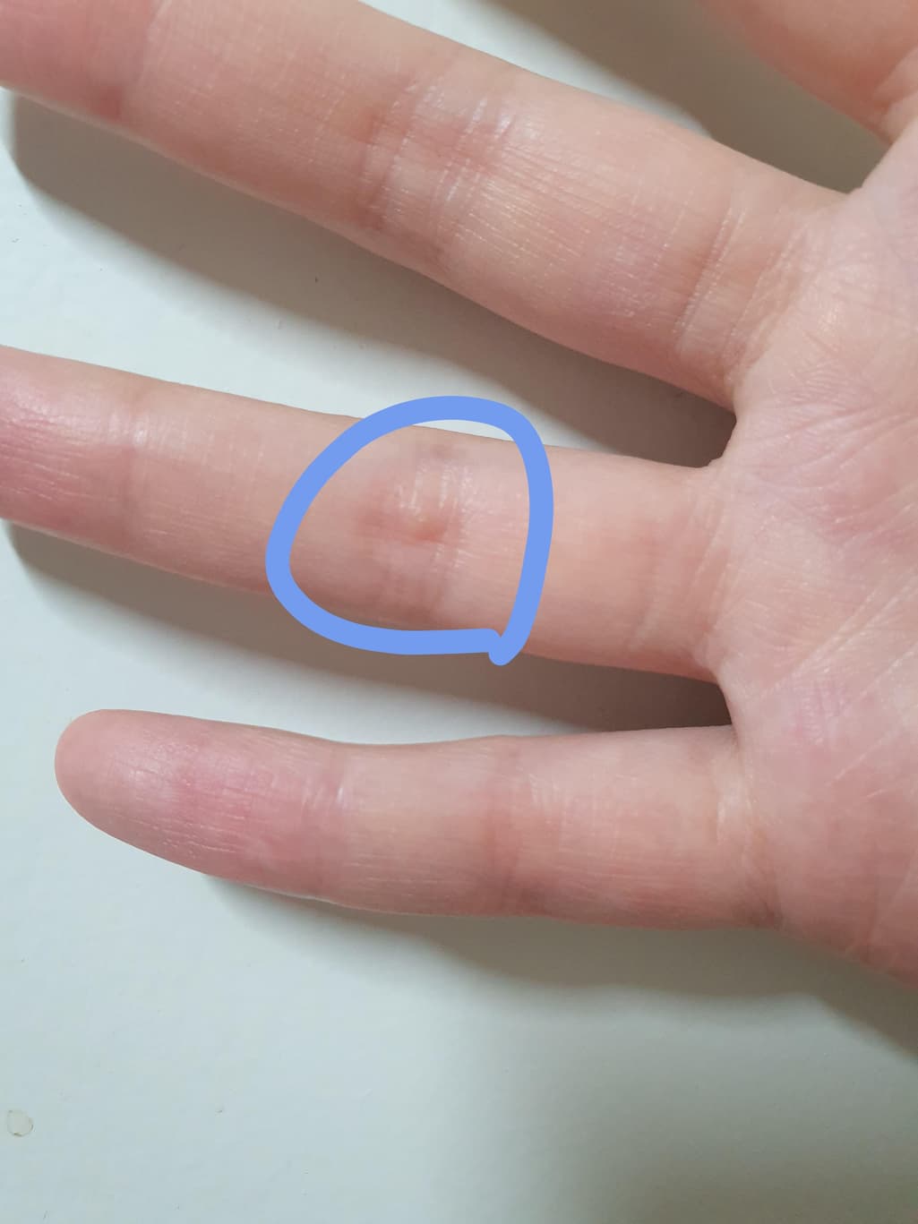 2번 째 사진
