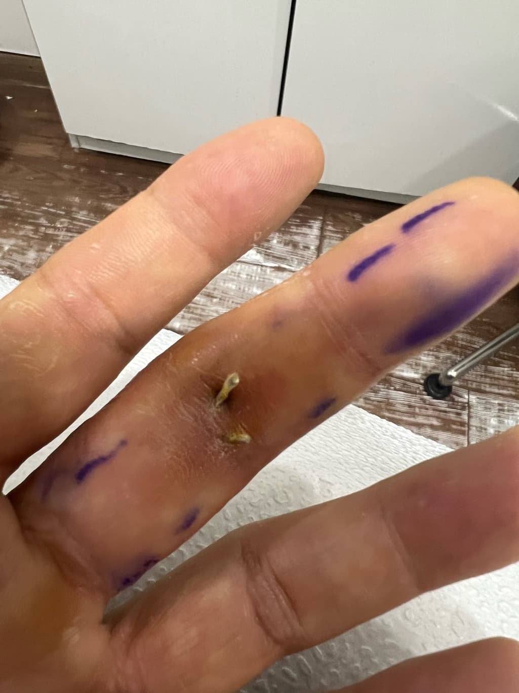 1번 째 사진