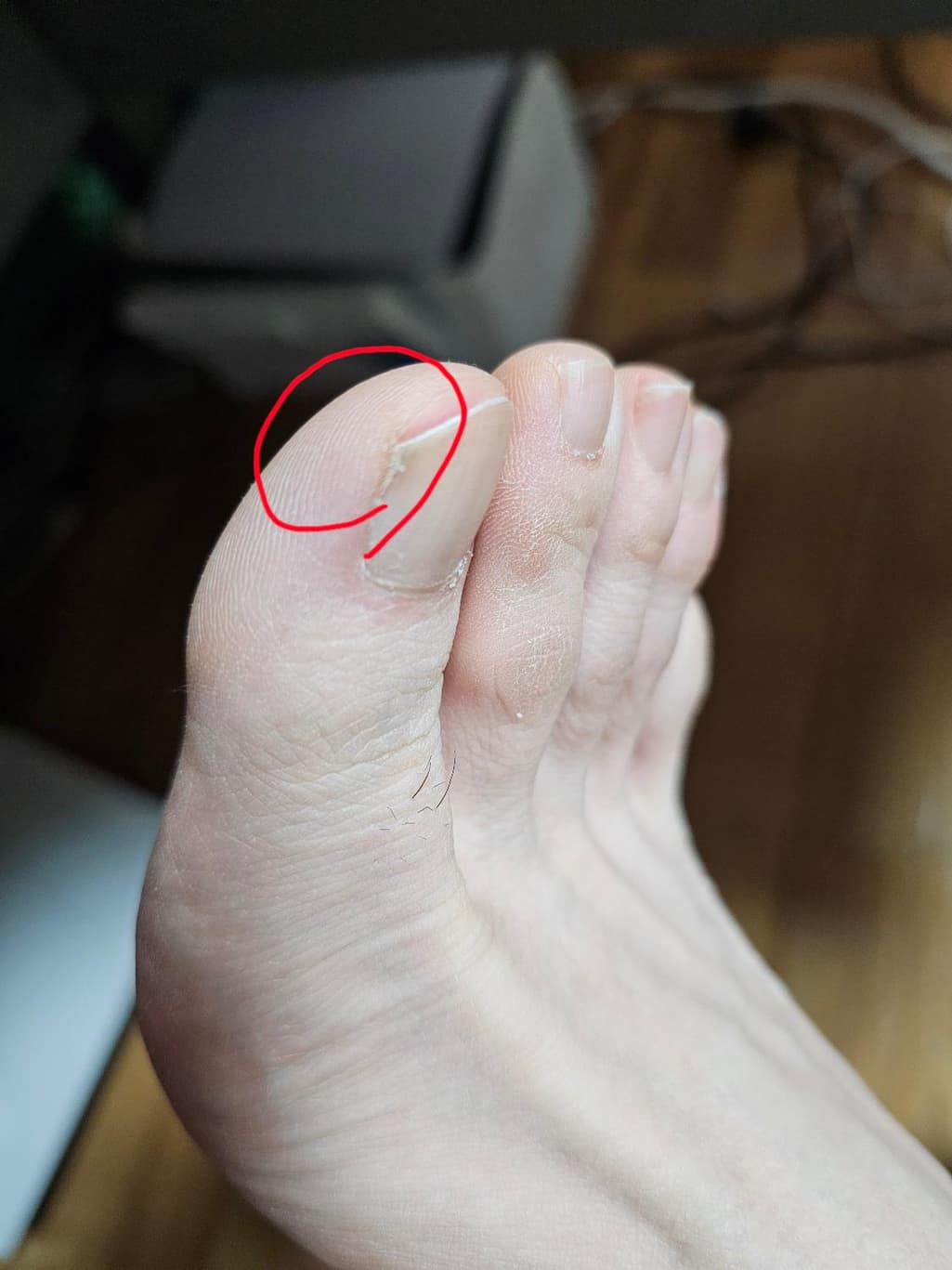 1번 째 사진