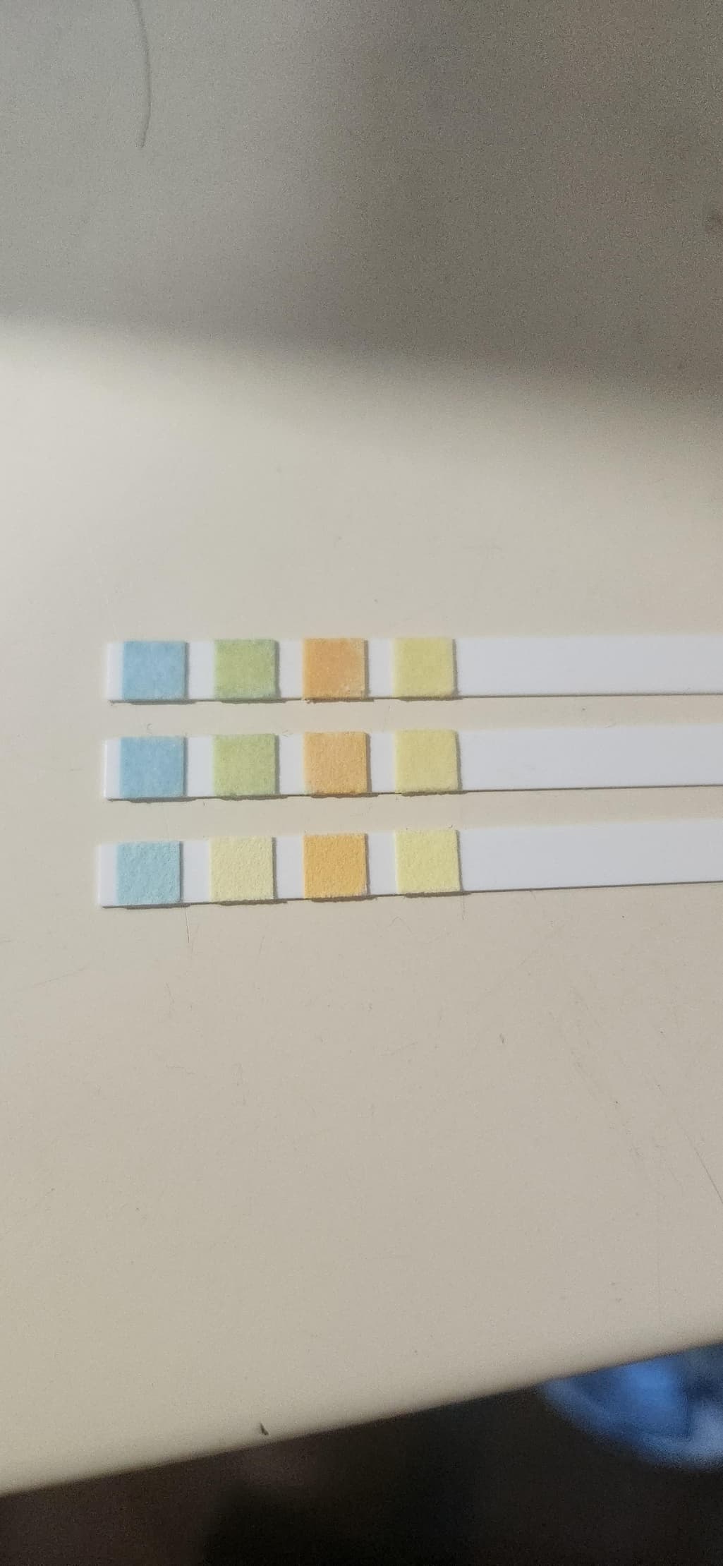 2번 째 사진