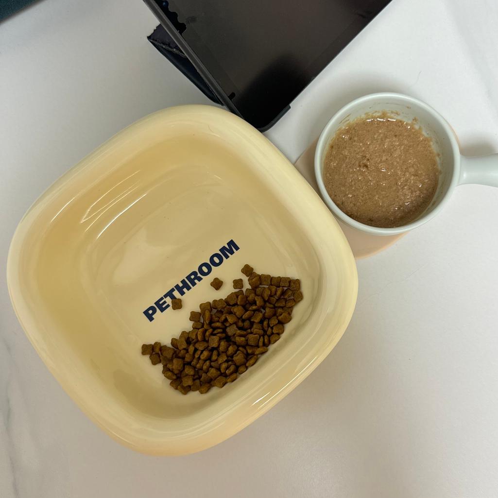 5번 째 사진