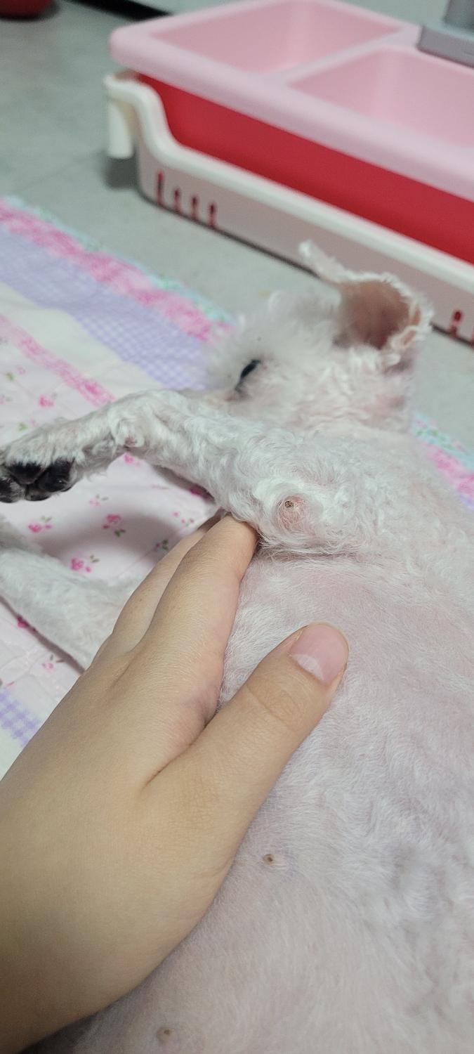 1번 째 사진