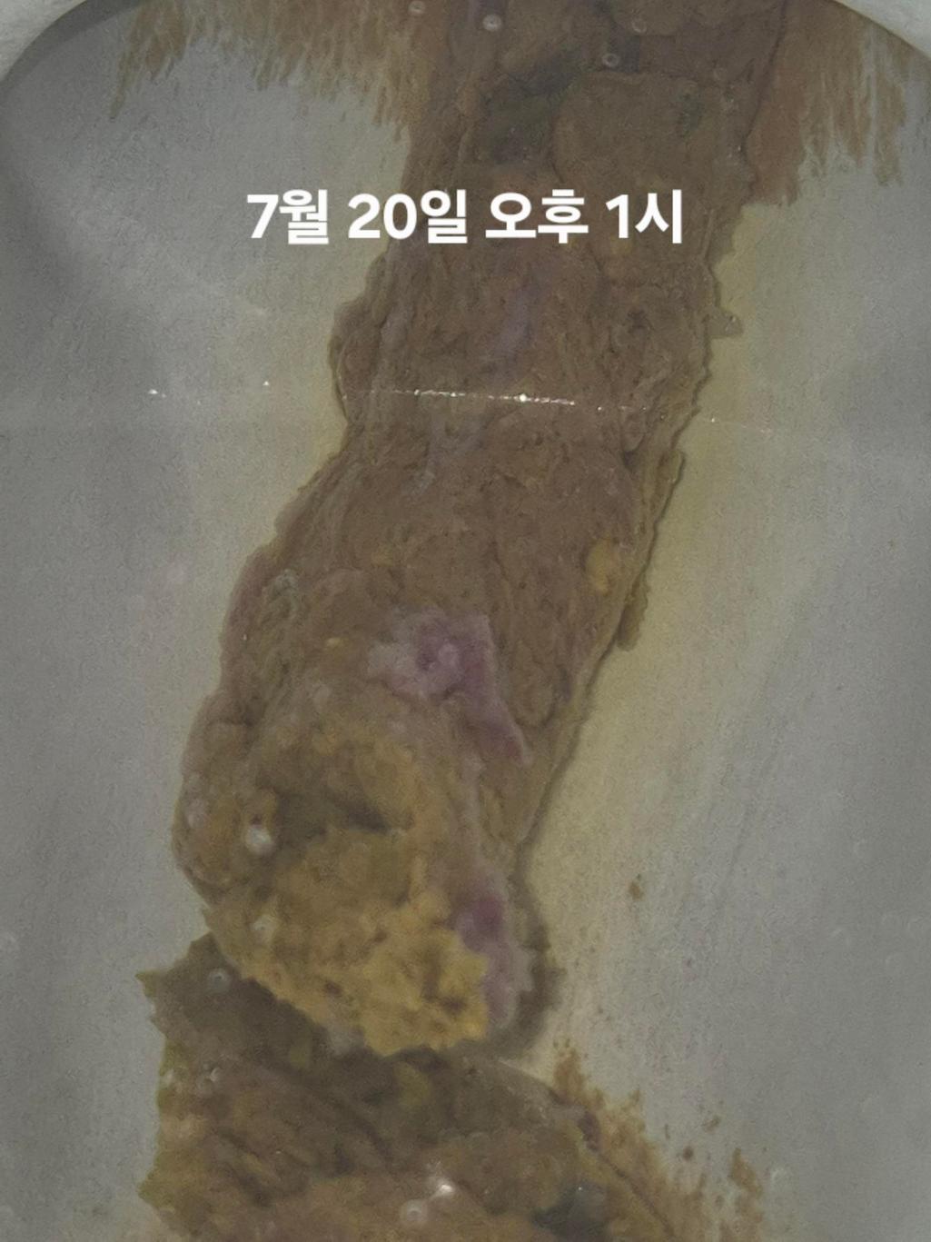 6번 째 사진