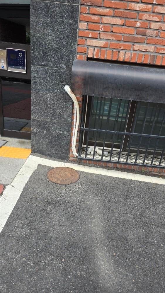 2번 째 사진
