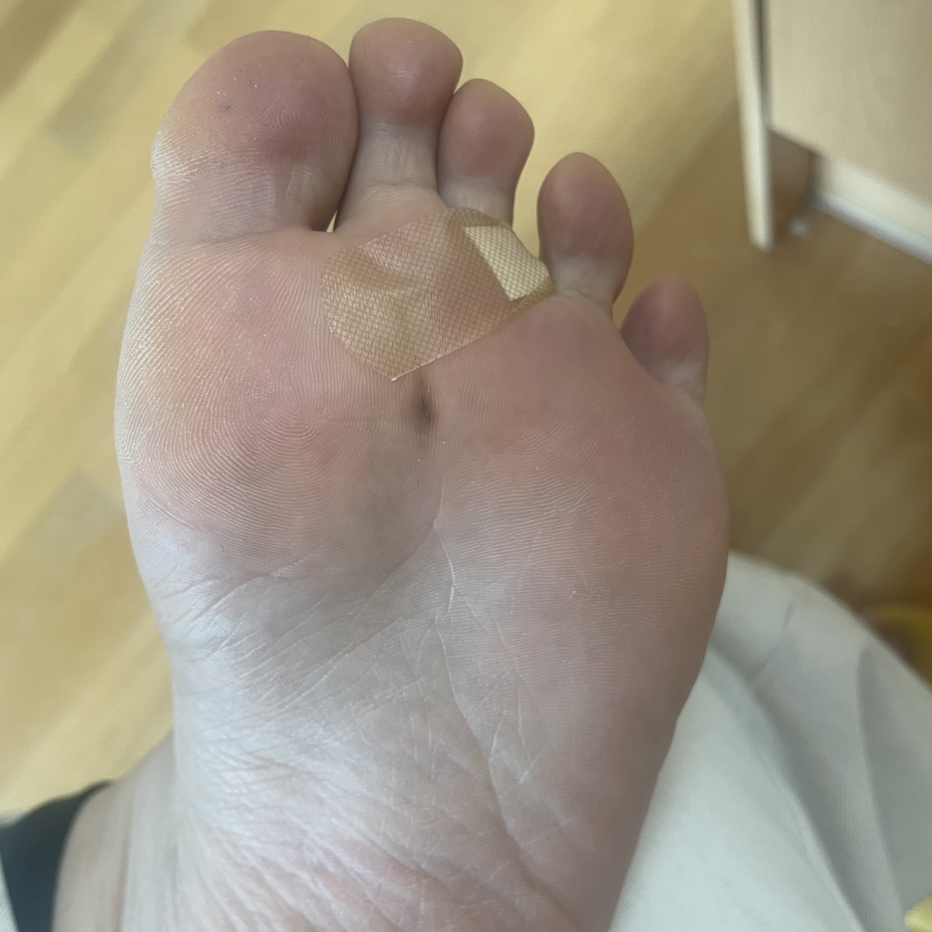 2번 째 사진