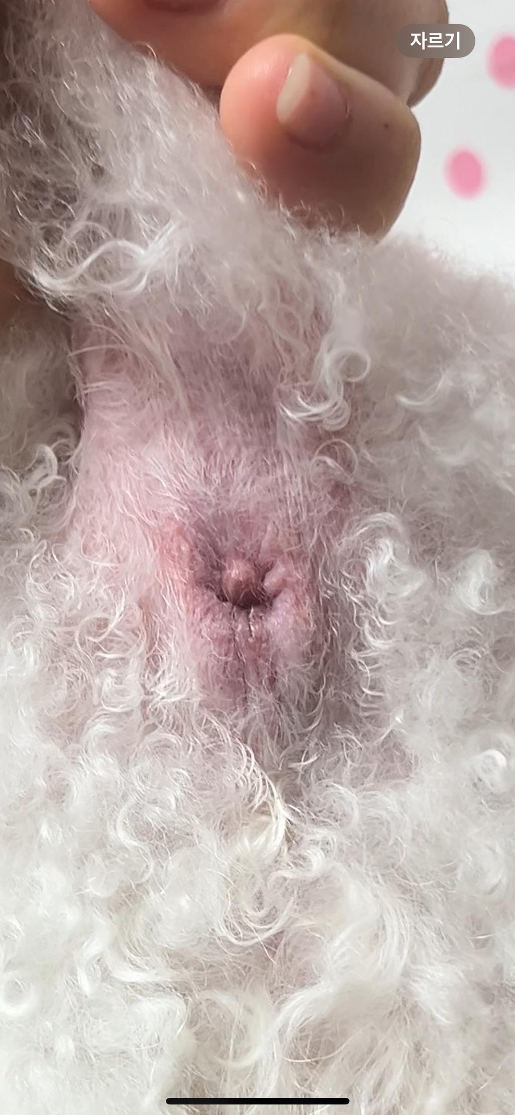 2번 째 사진