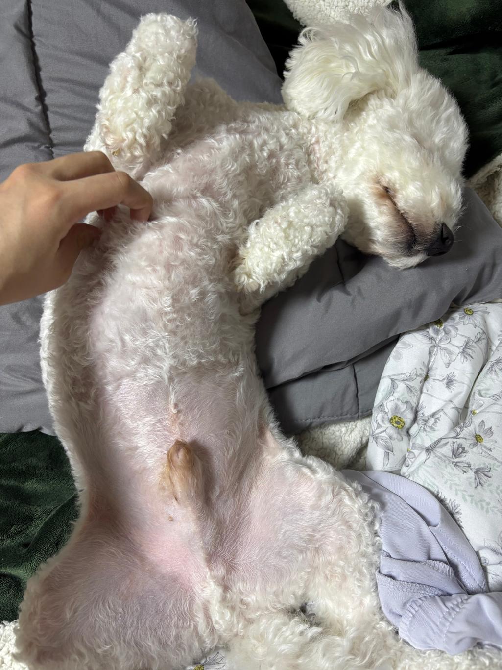2번 째 사진