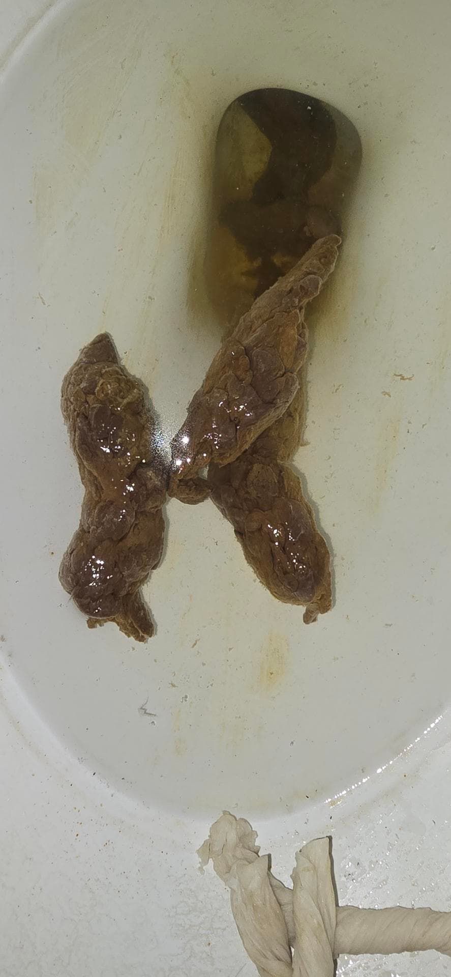 2번 째 사진