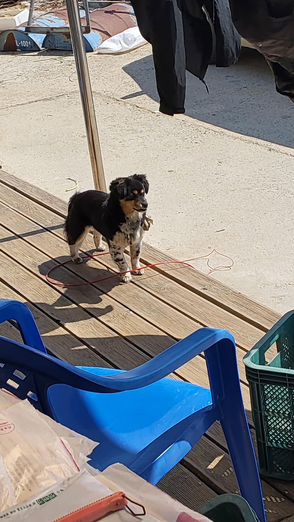 1번 째 사진