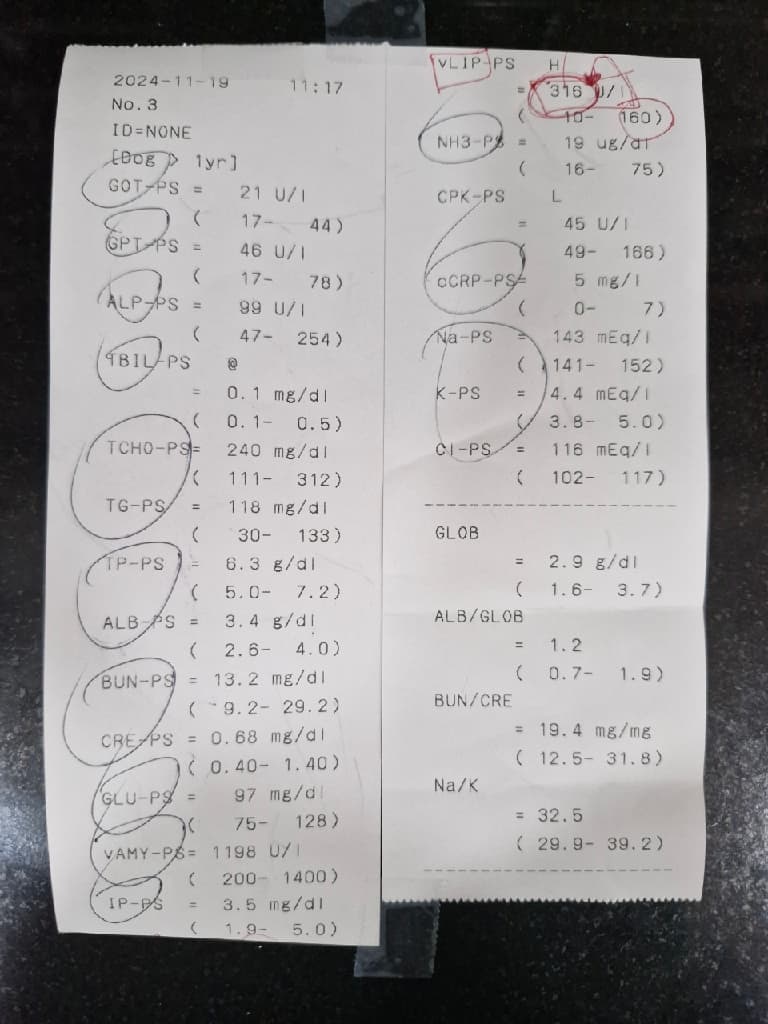 2번 째 사진