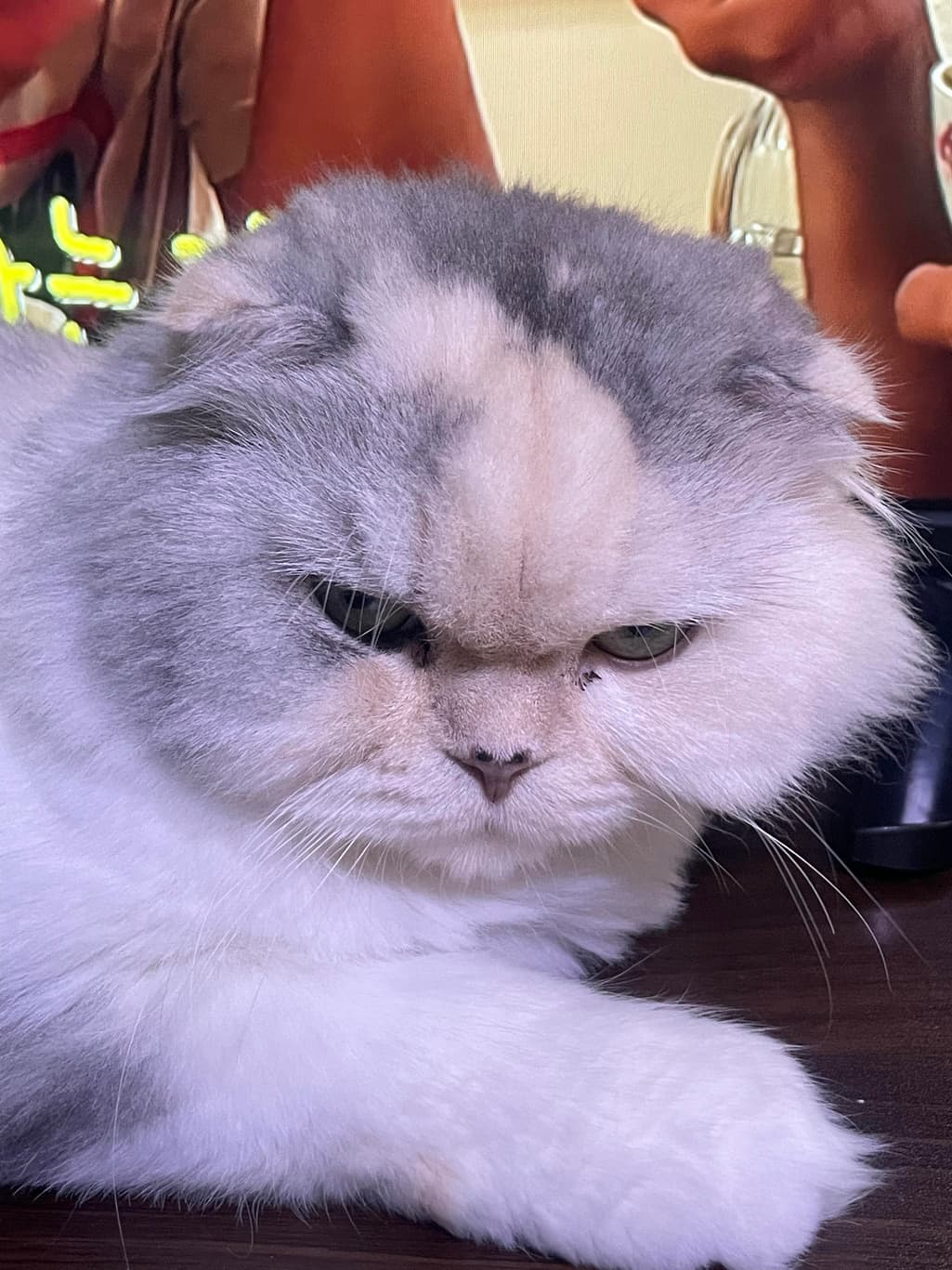 6번 째 사진