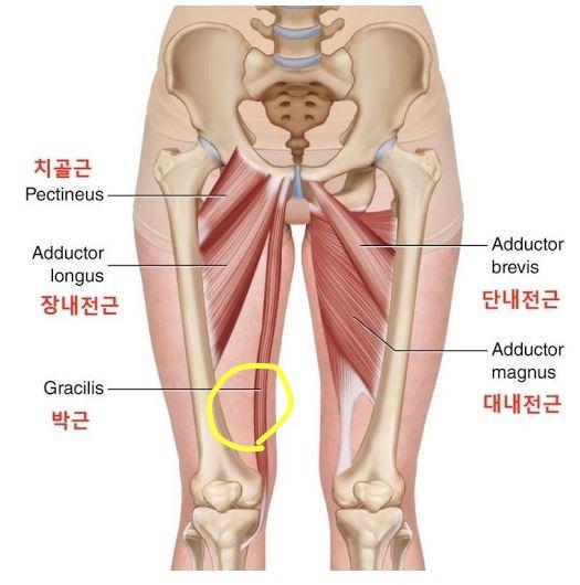 2번 째 사진