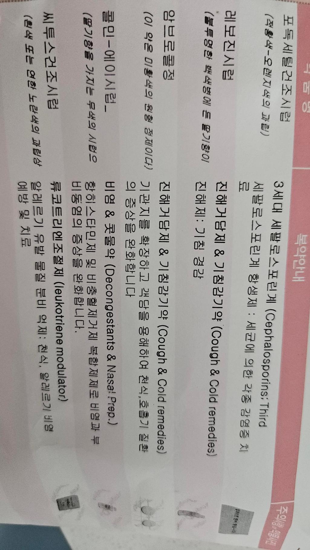3번 째 사진