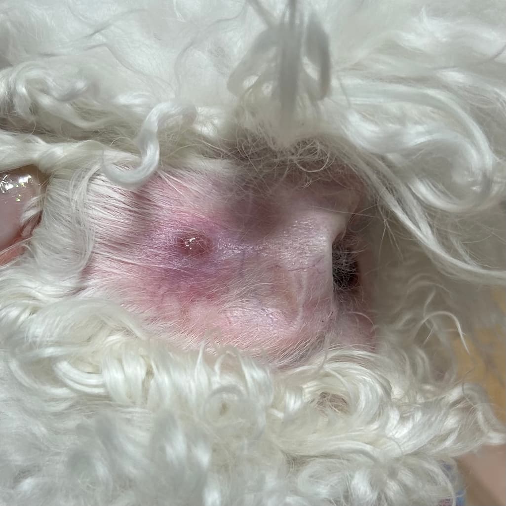 2번 째 사진