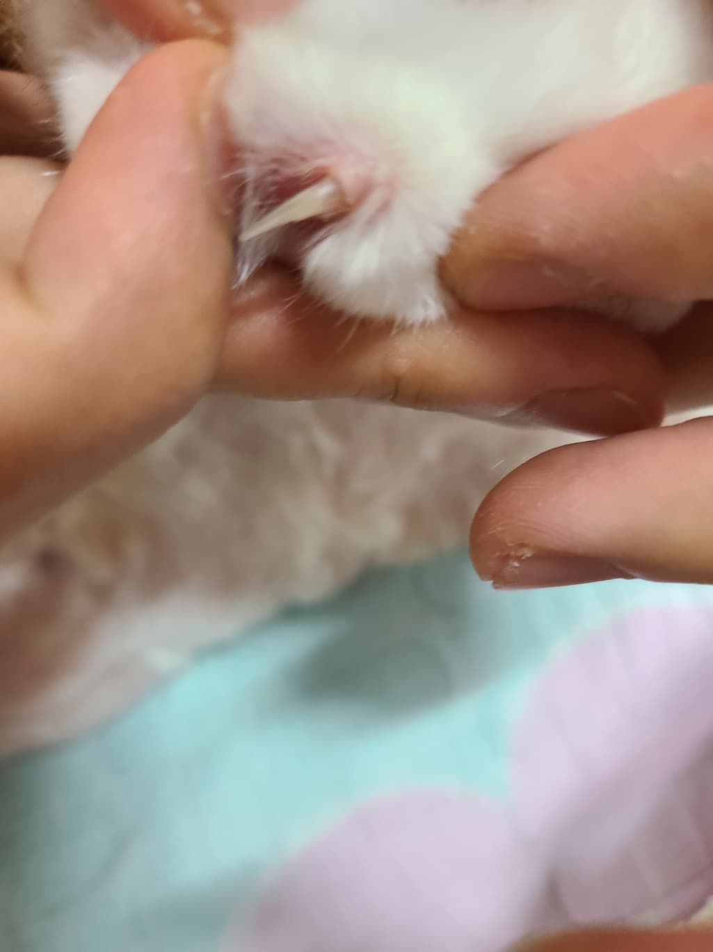 3번 째 사진