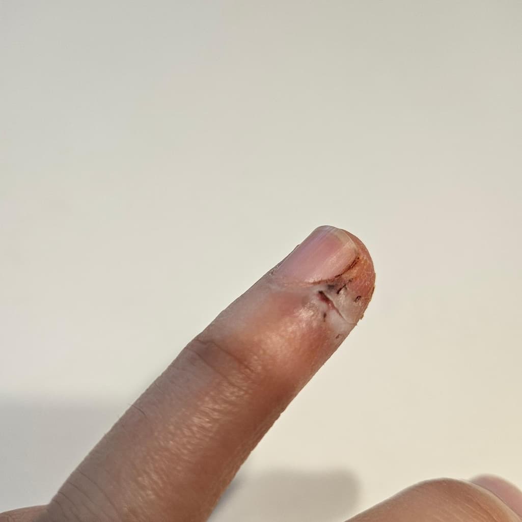1번 째 사진