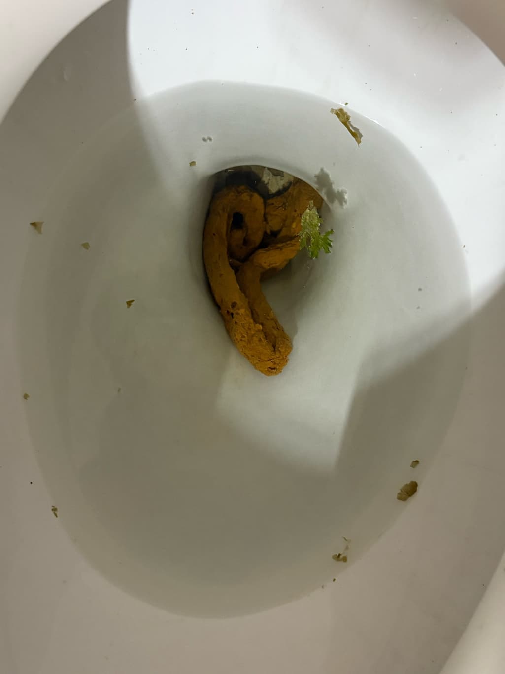 2번 째 사진