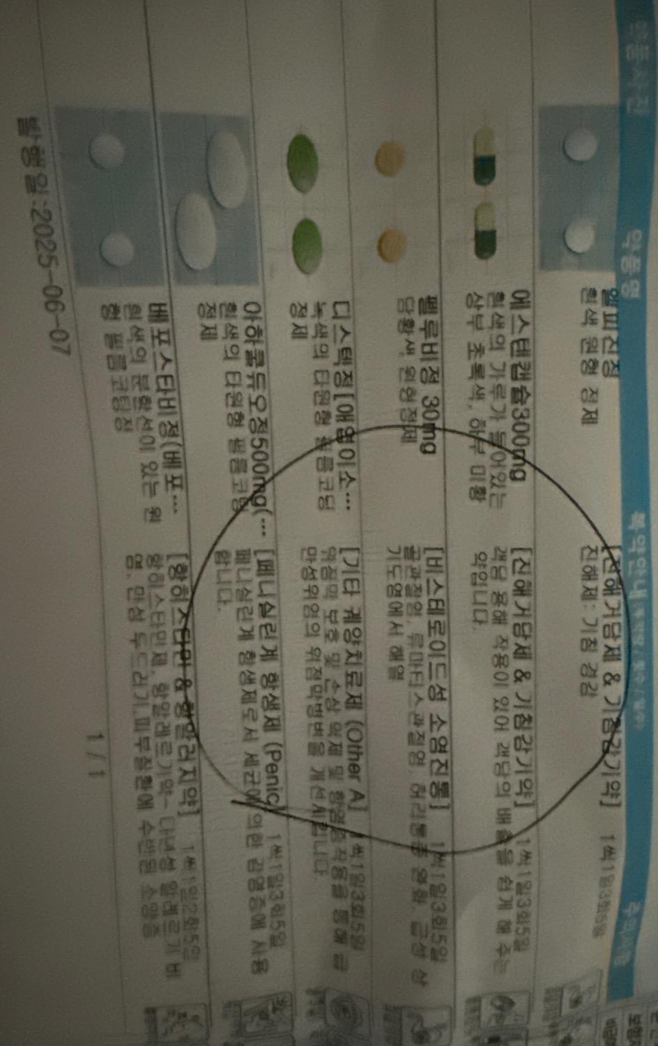 1번 째 사진
