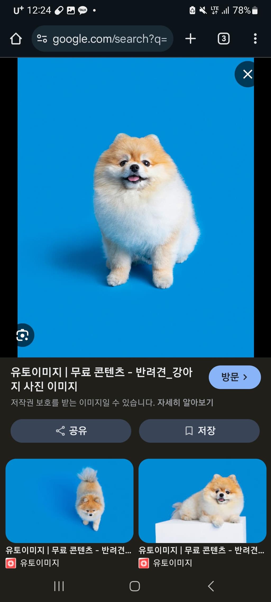 1번 째 사진