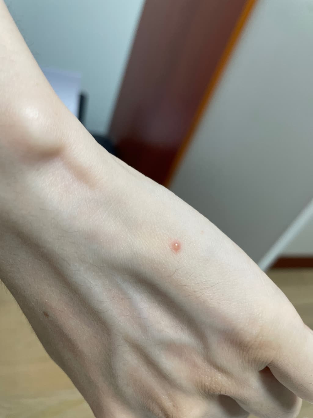 3번 째 사진