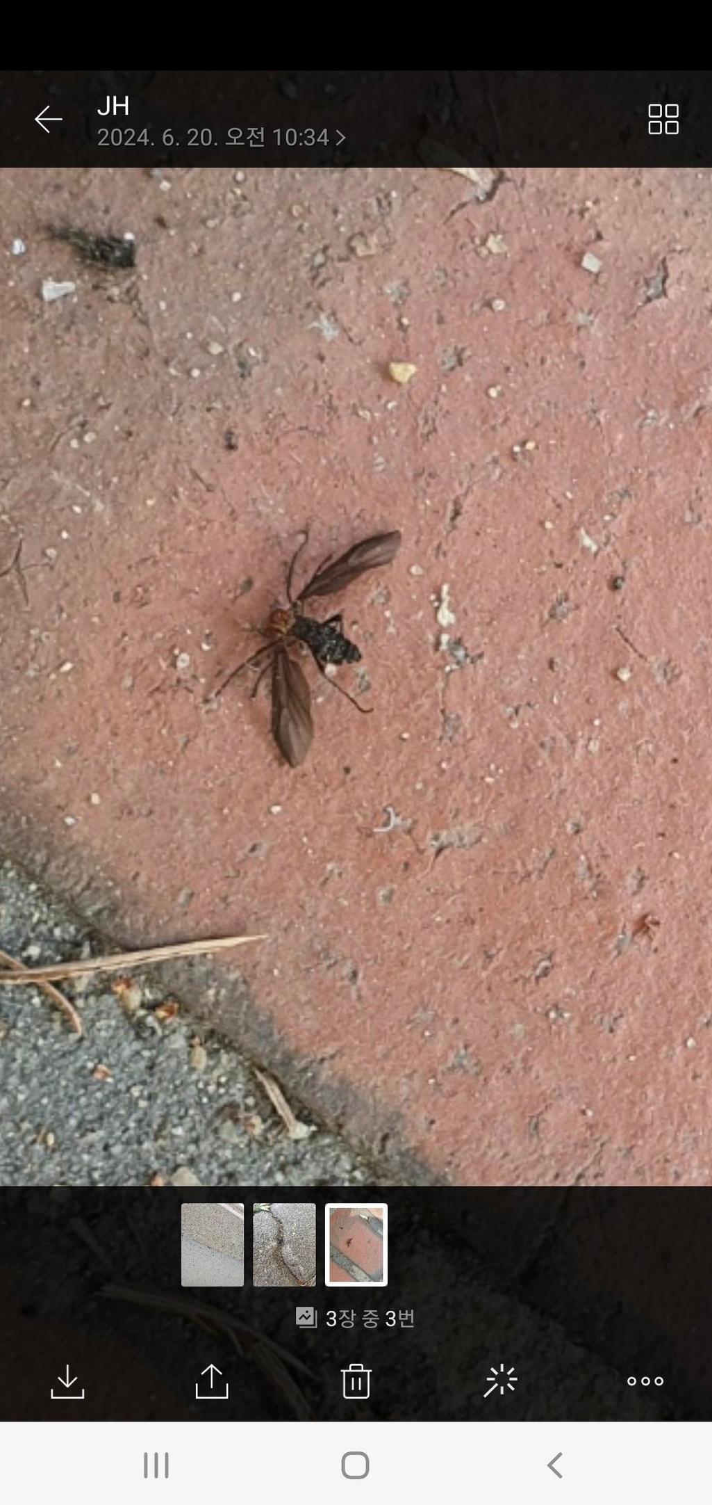 1번 째 사진