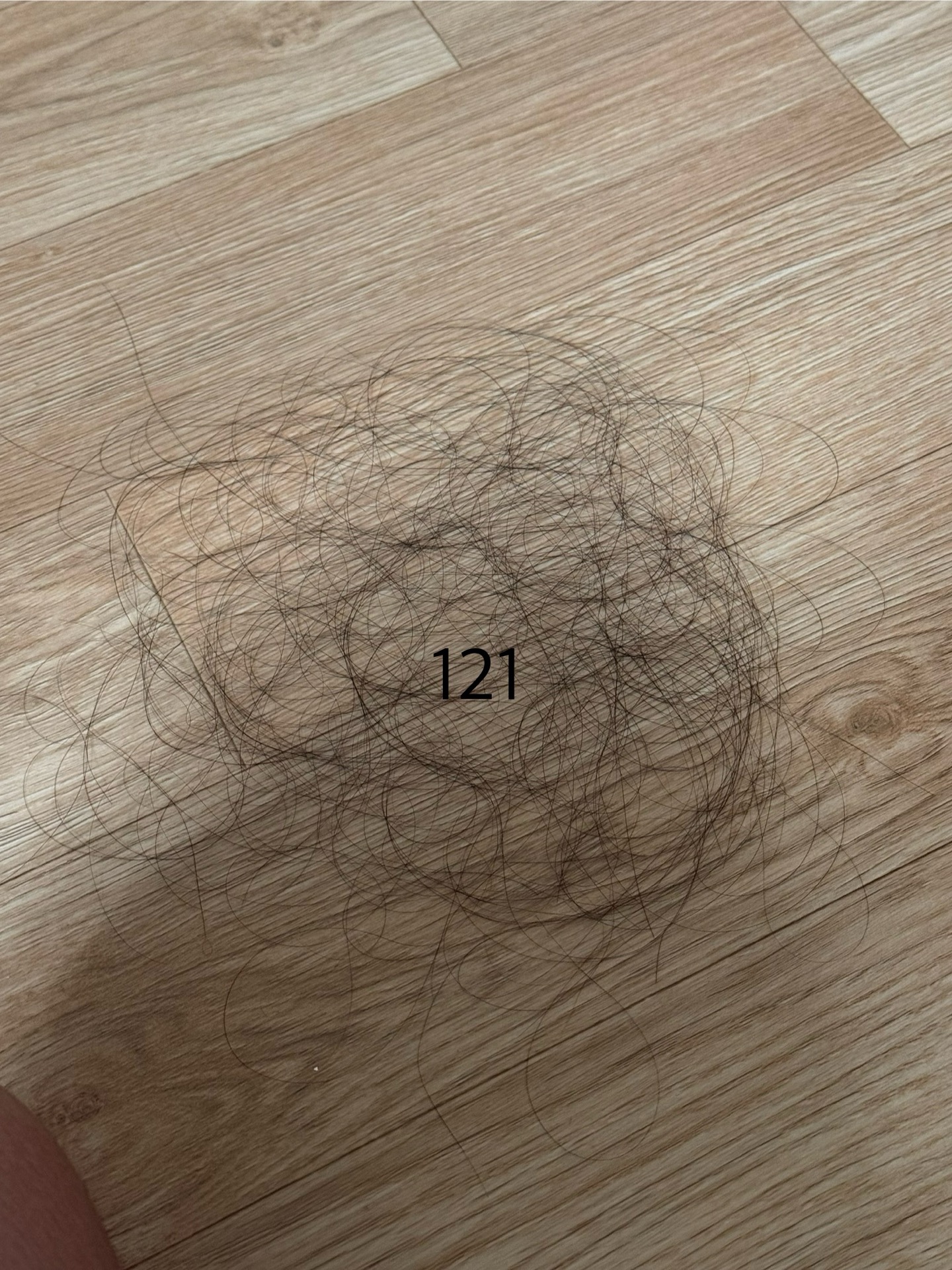 2번 째 사진